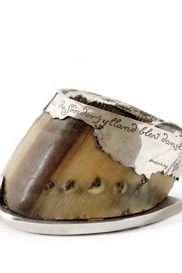 Horse’s hoof with silver shoe