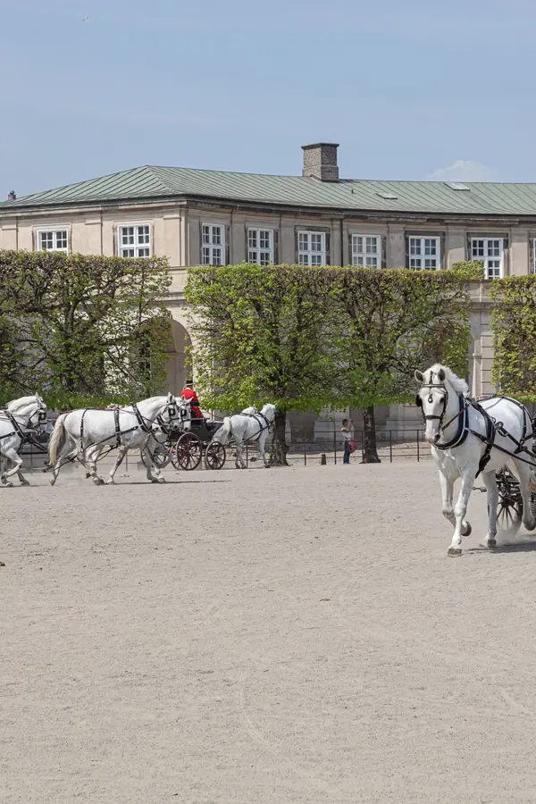 The Royal Stables