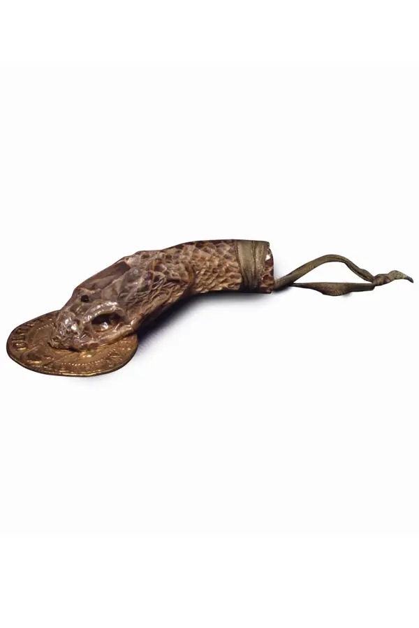 Snake’s head with coin