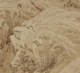Landskaber med antropomorfe træk eller skjulte ansigter var særligt udbredte i renæssancen, men havde også en vis popularitet i 1800-tallets Tyskland. Omkring 1838 påbegyndte de tyske Brødrene Grimm deres tyske ordbog, hvor de bl.a. definerer disse typer ’Vexierbild’ (fiksérbillede eller billedpuslespil) som billeder med skjulte tegninger.