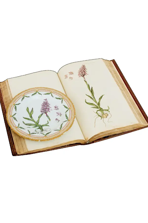 The Flora Danica encyclopedia