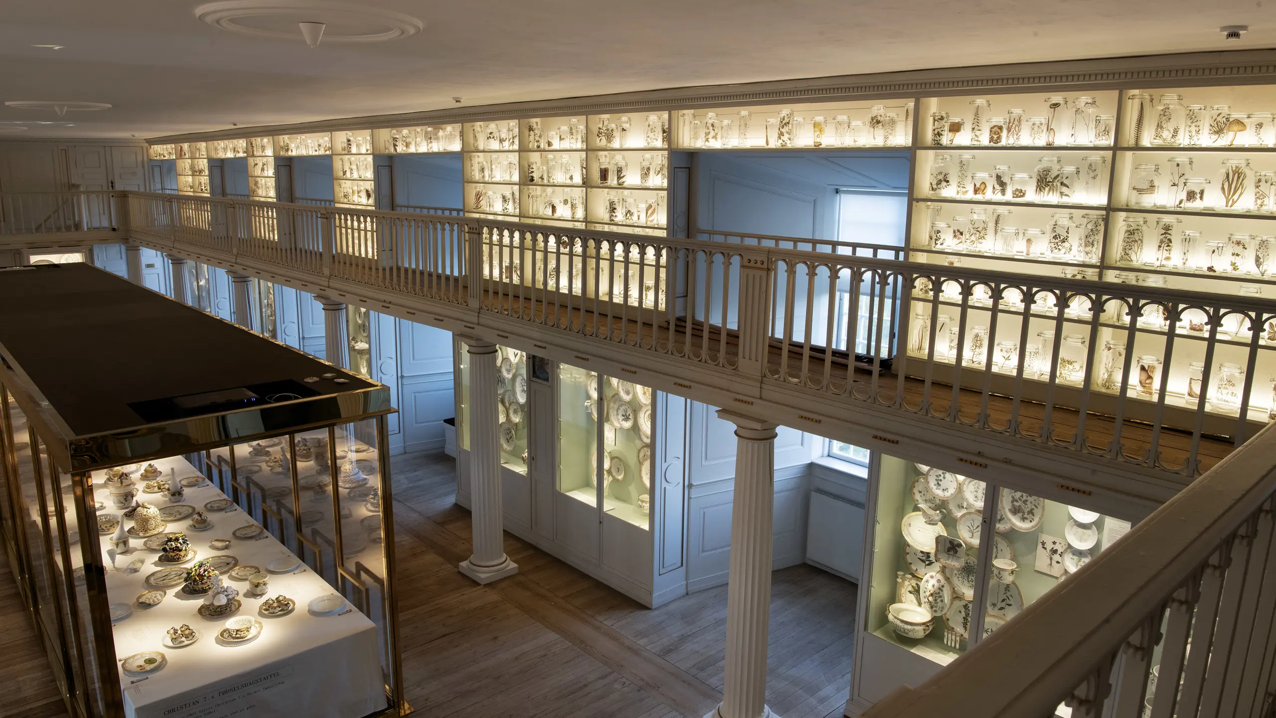 Flora Danica i Bibliotekssalen | Koldinghus